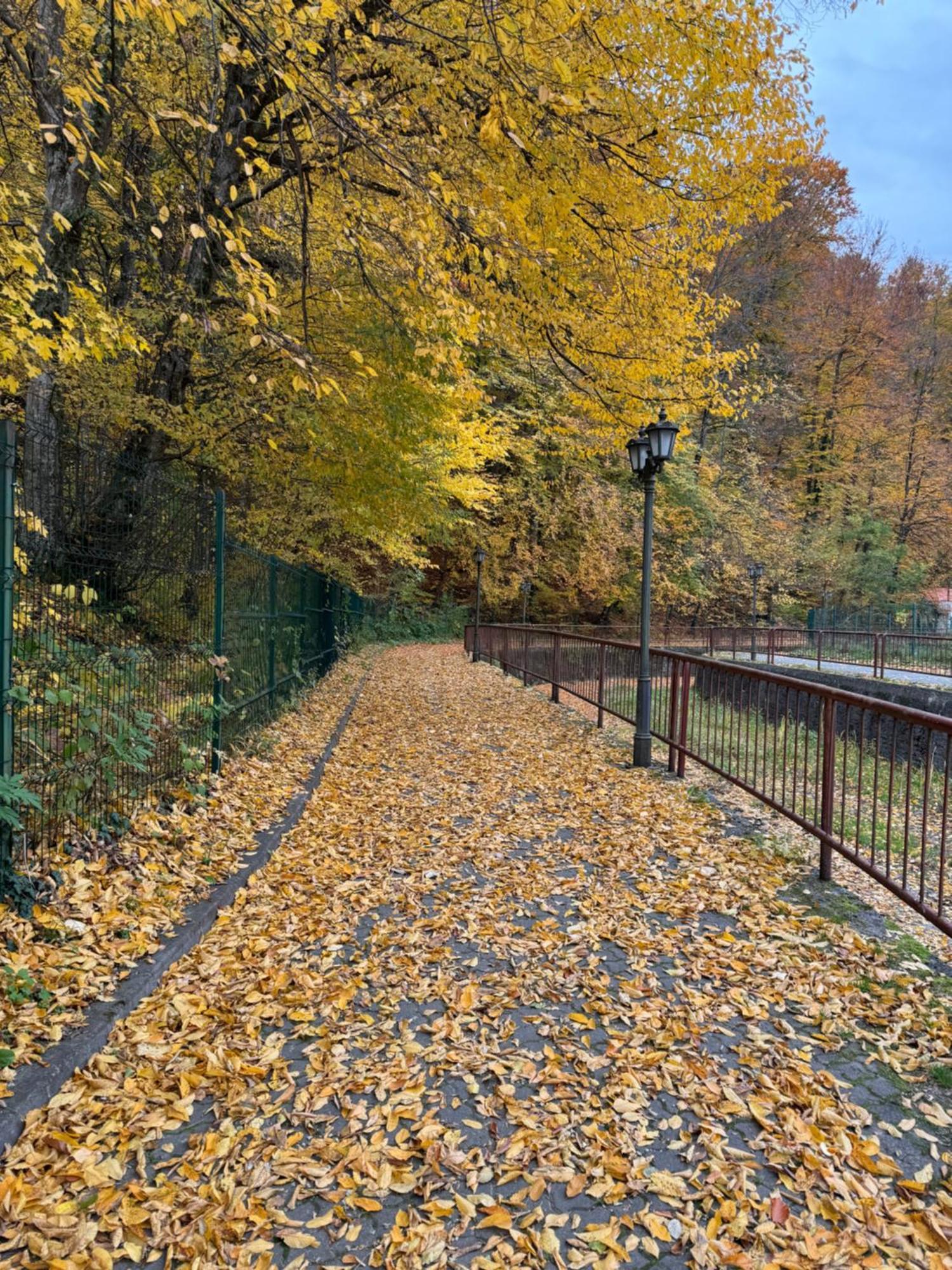 Pensiunea Magic Băile Govora Dış mekan fotoğraf